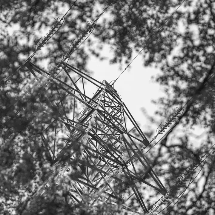 Power line through trees