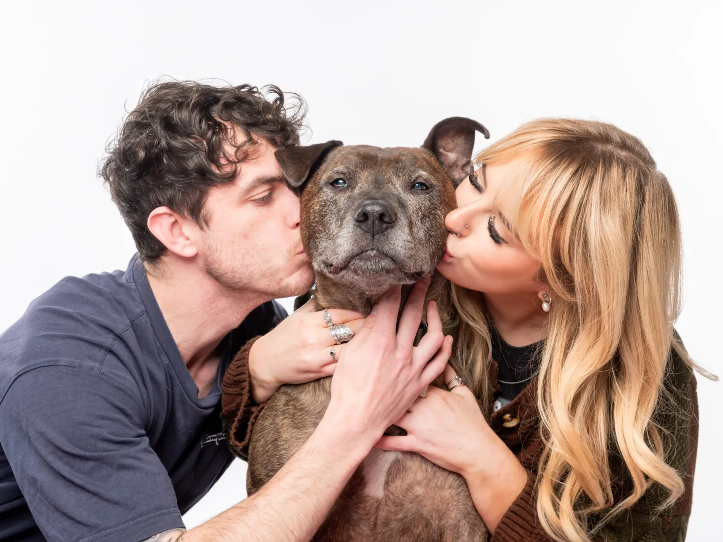 Male and female kissing a staffy dog on the cheeks