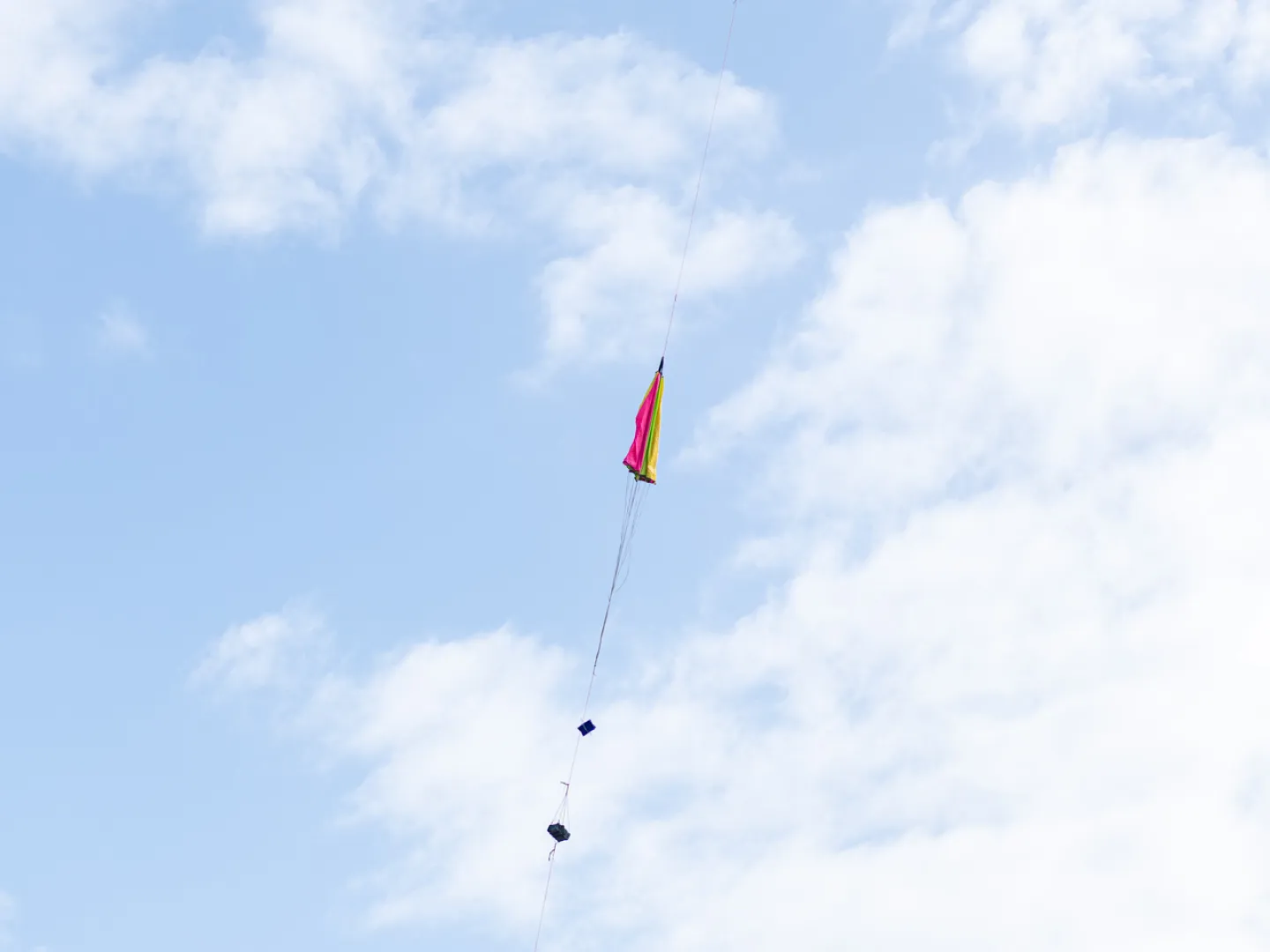 Balloon fly