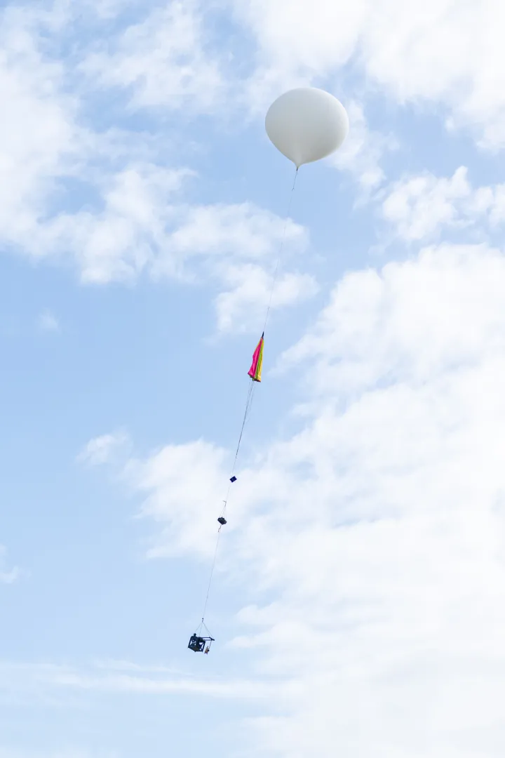 Balloon fly